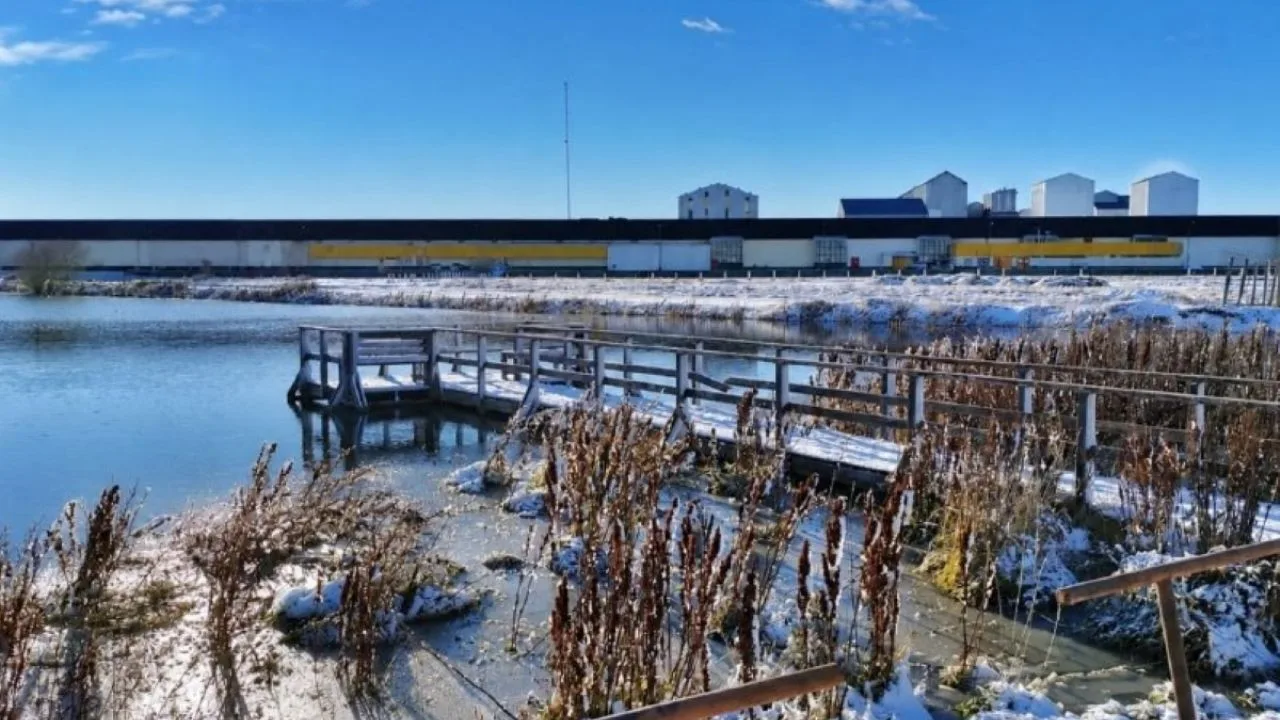 Niños y adultos patinando sobre el hielo de la Laguna de los Patos en Río Grande