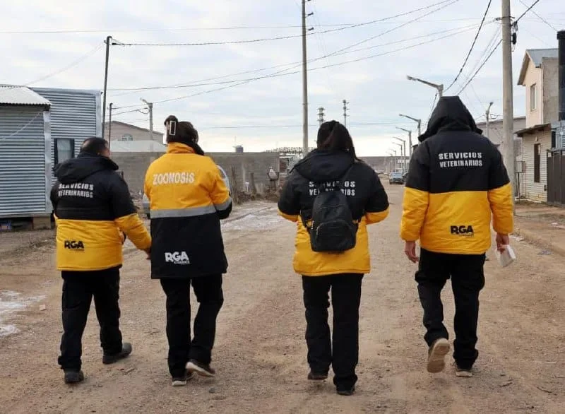 Personal municipal y vehículos oficiales en predio rural de Río Grande durante intervención veterinaria