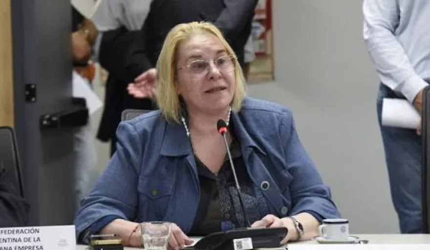 Claudia Fernández en una conferencia de prensa en Ushuaia con micrófonos y fondo de la ciudad nevada