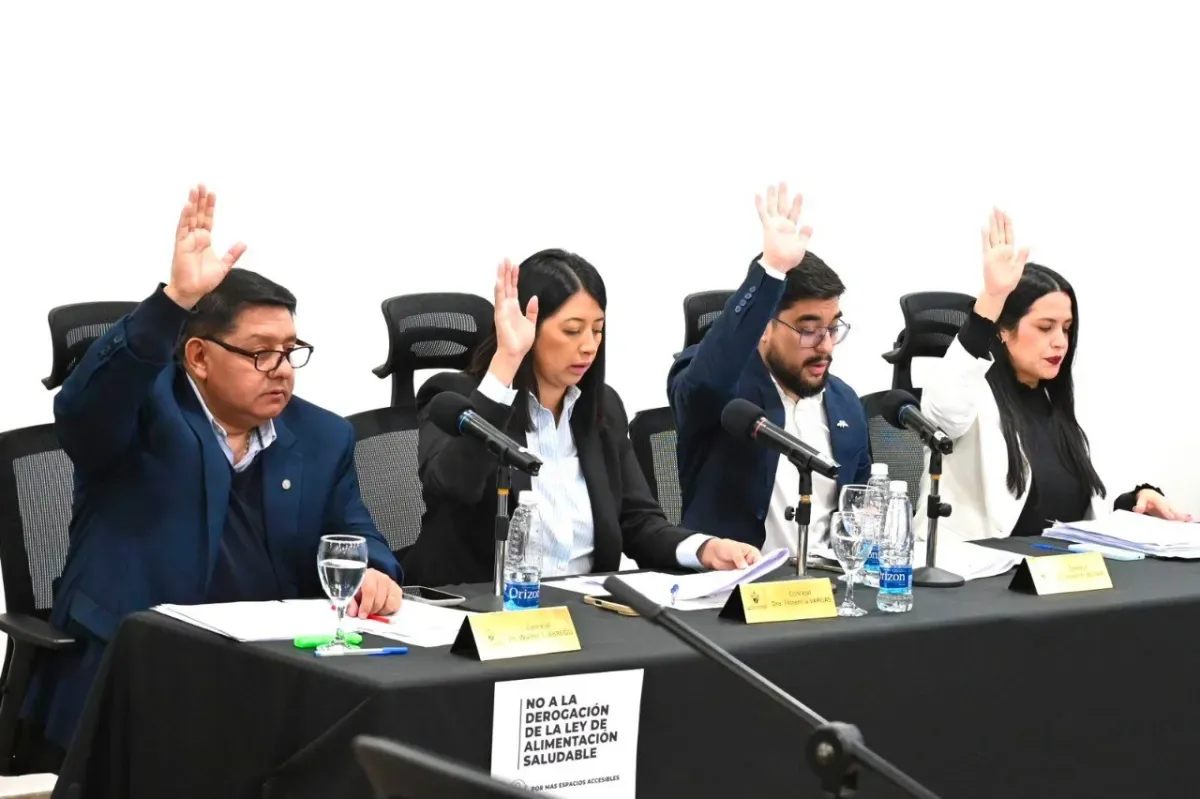 Concejales reunidos en sesión ordinaria dentro del Museo Virginia Choquintel de Río Grande