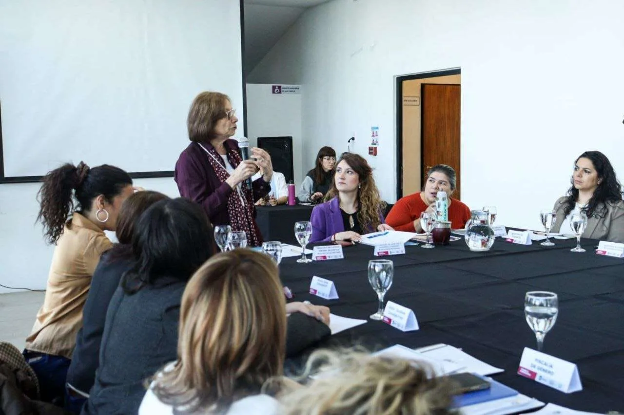 Integrantes del Consejo Consultivo de la Mujer reunidas en Ushuaia analizando documentos