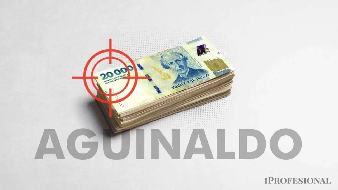 Trabajador fueguino revisando facturas y billetes de dólares sobre una mesa