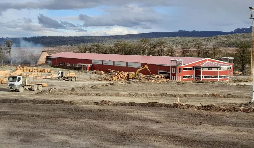 Aserradero en Tolhuin con troncos apilados y operarios trabajando en la sierra