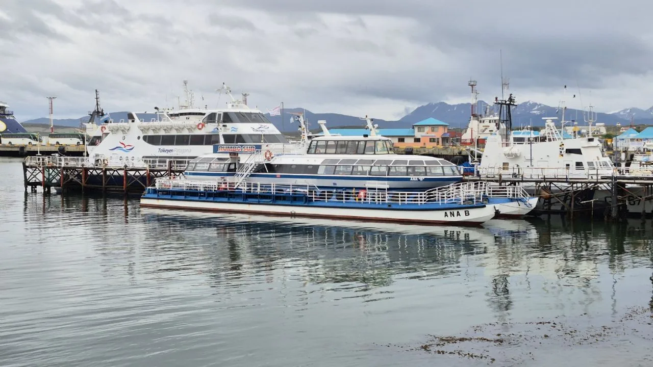 Brisighelli criticó que ANPYN investigue a las empresas de catamaranes por el muelle deteriorado