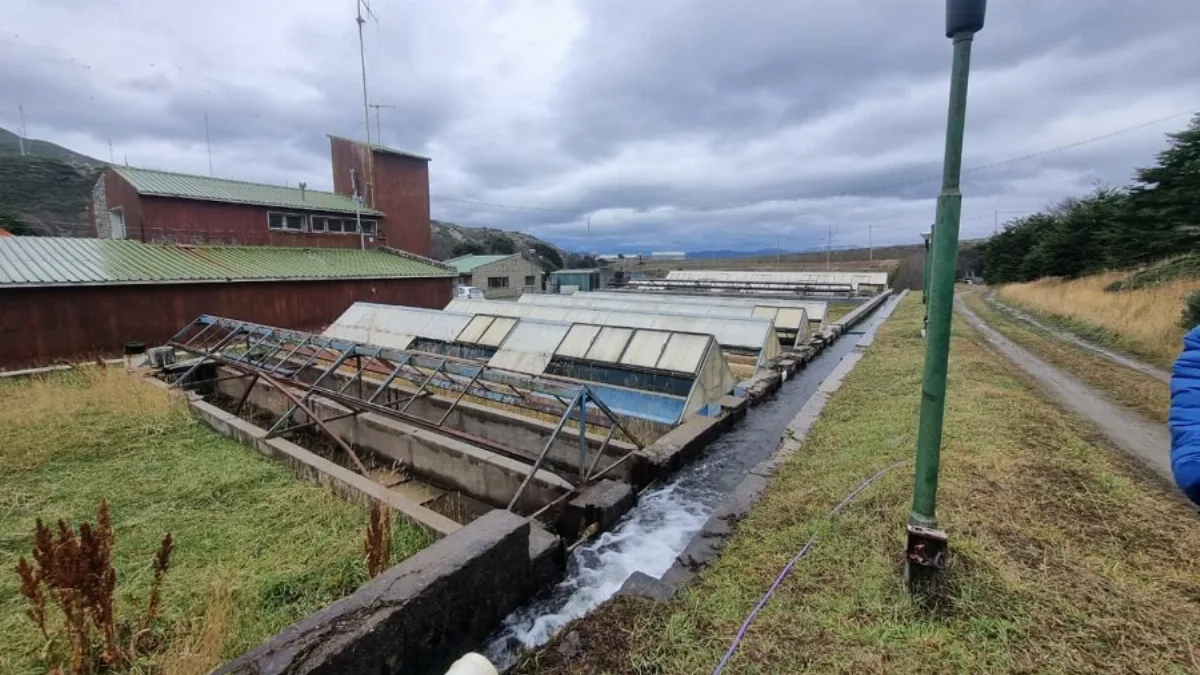 Capacitación del SENASA impulsa la acuicultura patagónica con nueva normativa