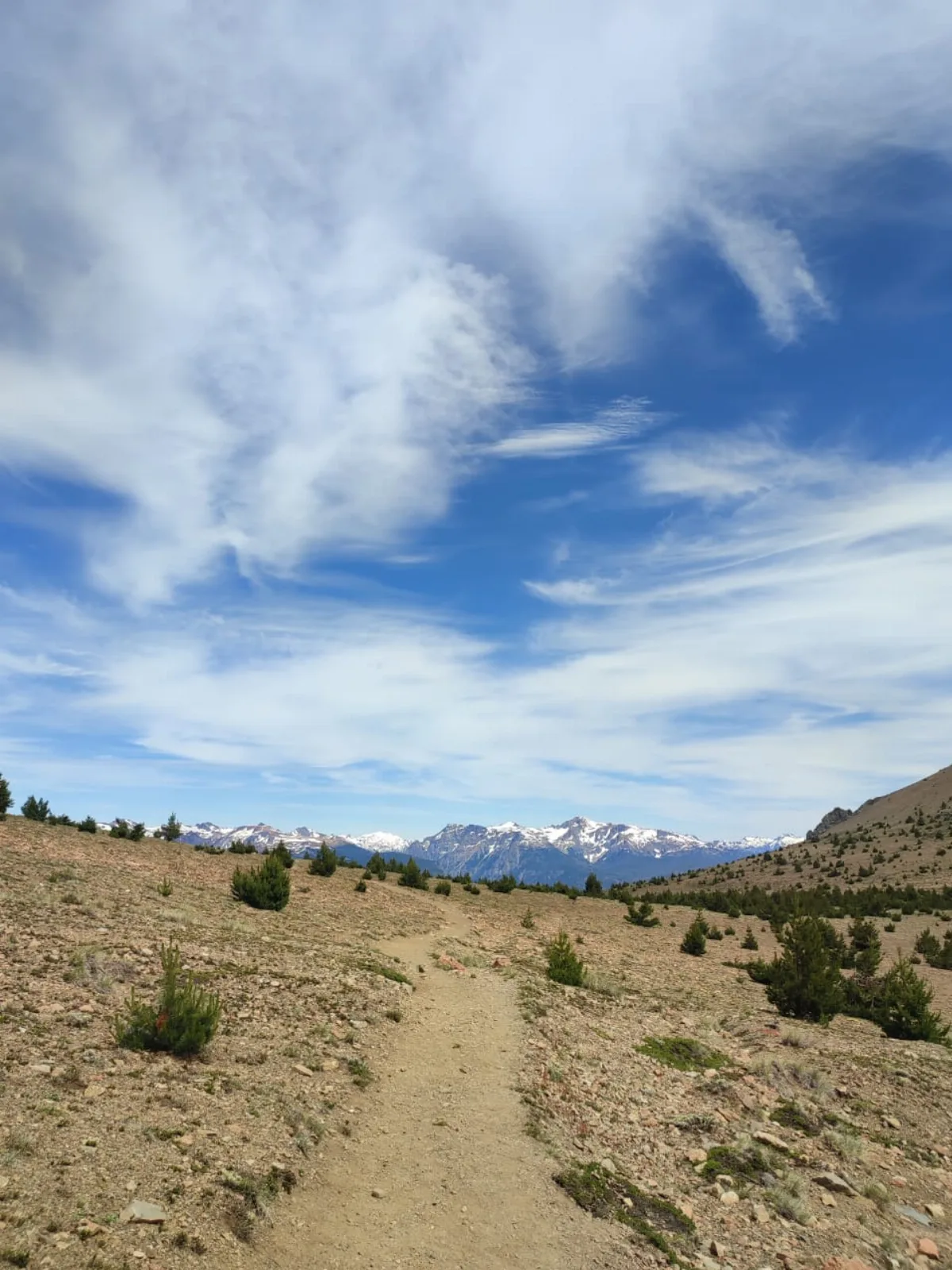 Ascenso al Cerro Piltriquitrón