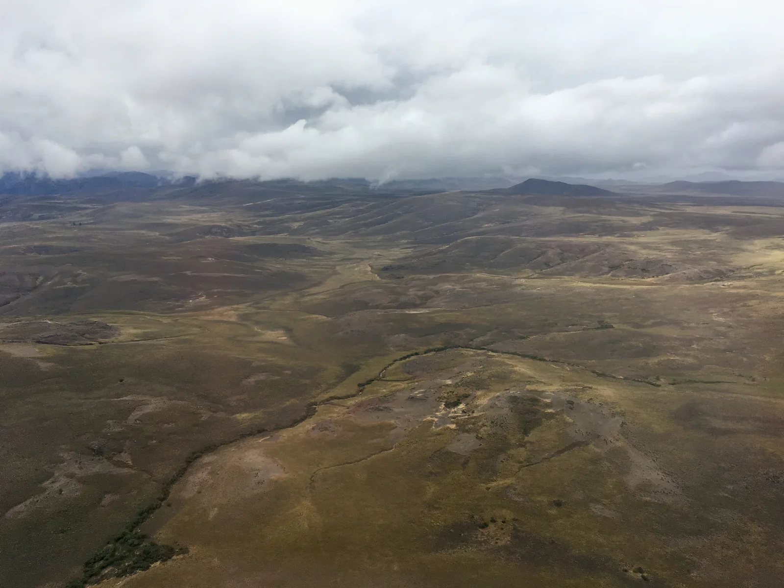 Gabriela Carel estrena “Retumbo del Fuego” para concientizar sobre incendios forestales
