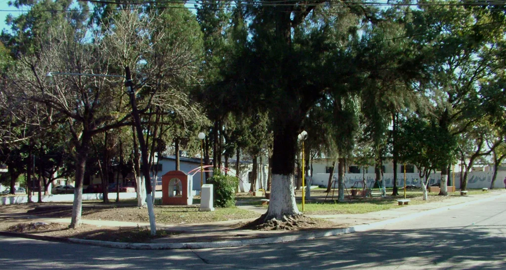Plaza del Barrio El Bosque (de día)