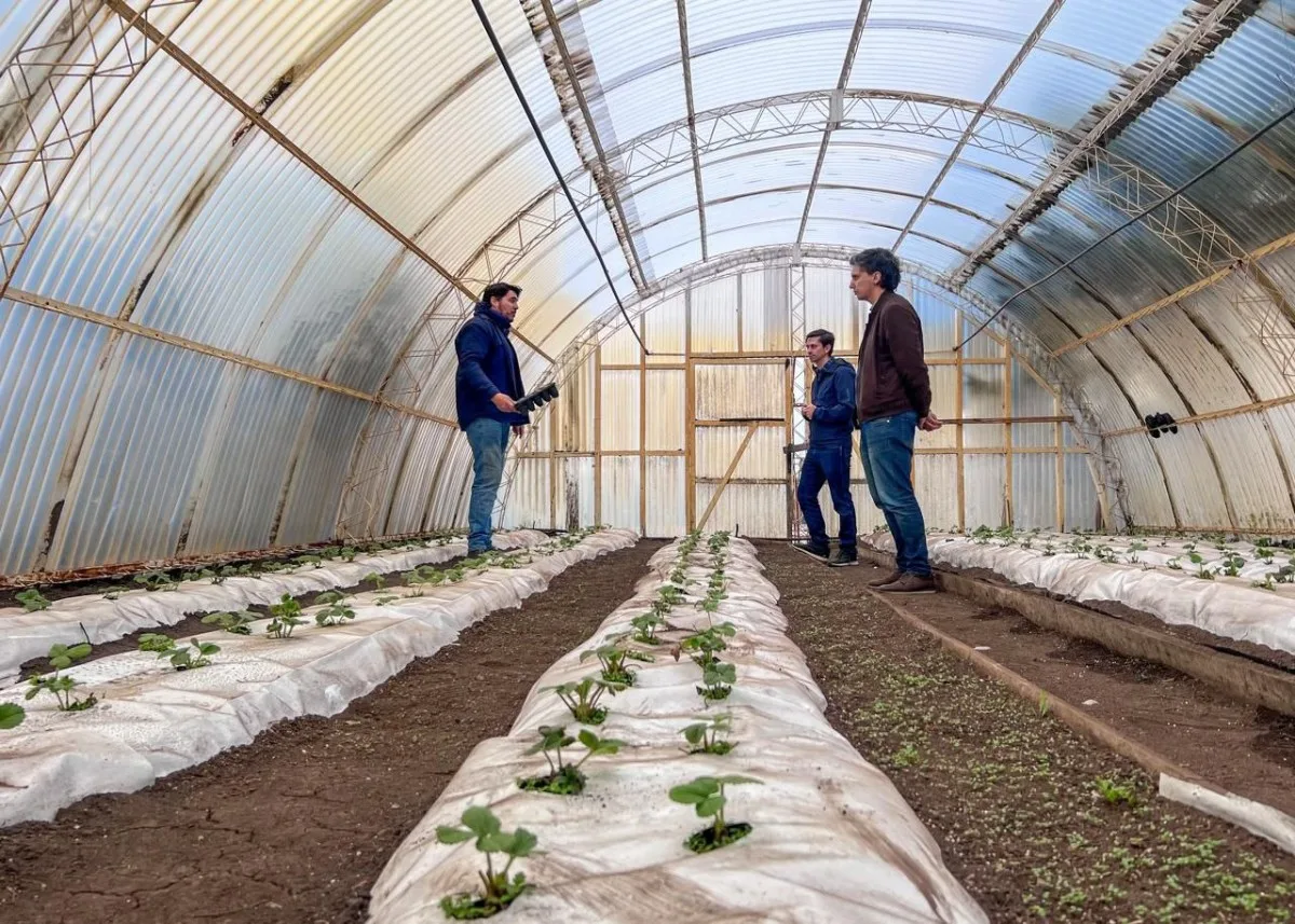 Municipio y Río Grande Activa firman acuerdo para potenciar la Chacra Agroexperimental