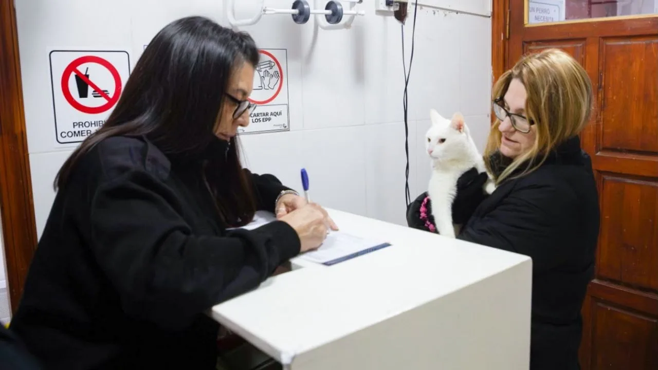 Río Grande vacunó a 142 mascotas y colocó 70 chips en jornada gratuita