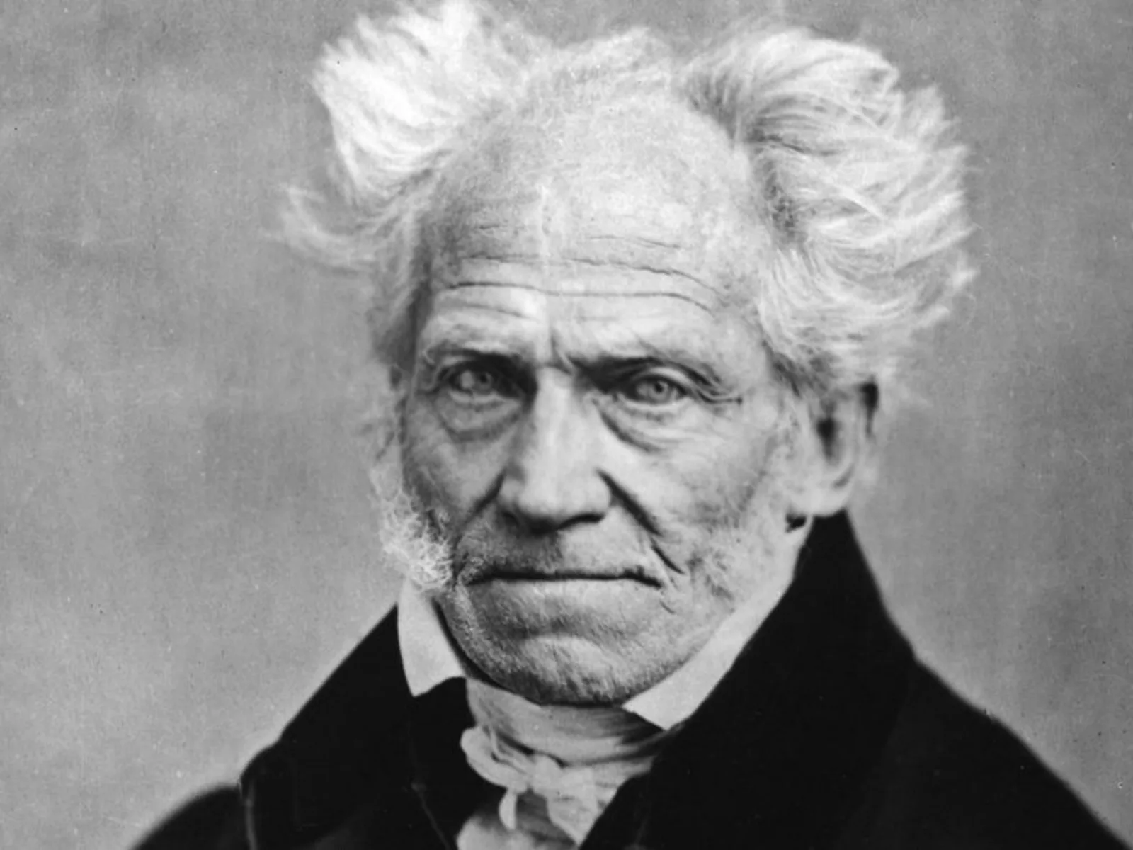 Schopenhauer y la riqueza interior: por qué la soledad es el bien supremo del hombre de espíritu